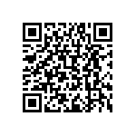 RDE5C2A1R0C0P1H03B QRCode