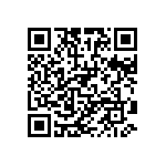 RG1005P-203-B-T1 QRCode