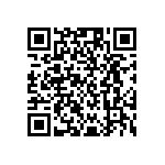 RG1005P-4641-B-T1 QRCode