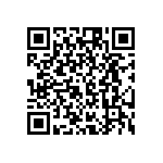 RG1005V-242-P-T1 QRCode