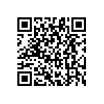 RG1608N-162-B-T5 QRCode