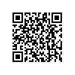 RG1608N-244-B-T5 QRCode