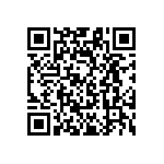 RG1608V-2051-B-T1 QRCode