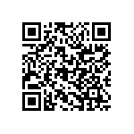 RG2012P-1741-B-T1 QRCode