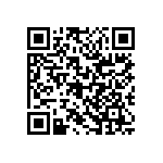 RG2012P-4870-B-T1 QRCode