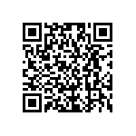 RG2012P-4990-P-T1 QRCode