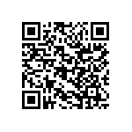 RG2012V-4531-B-T1 QRCode