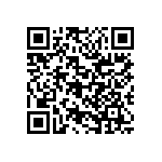 RG2012V-4990-P-T1 QRCode