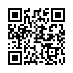RJ13PR101 QRCode