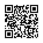RJHSE538504 QRCode