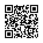 RJHSE5385A4 QRCode