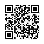 RJHSE538604 QRCode
