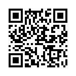 RJHSE538M04 QRCode