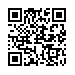 RJHSE538T02 QRCode