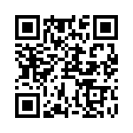 RJHSEG380A4 QRCode