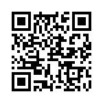 RJHSEG38K04 QRCode