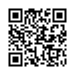 RJSAE538602 QRCode