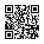 RJSNE538P08 QRCode
