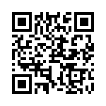 RJSNEJ38608 QRCode