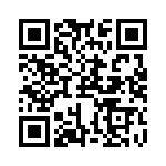 RJSSE538102T QRCode