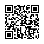 RJSSE538202T QRCode
