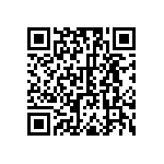 RLR07C1304GSR36 QRCode