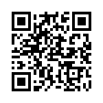 RMCF0805FG13K7 QRCode