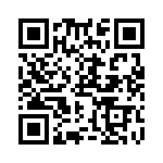 RN55C1013DRSL QRCode