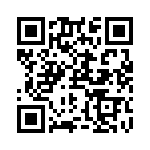 RN55C1302BRSL QRCode