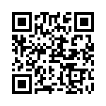RN55C1303DBSL QRCode