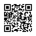 RN55C1303DRSL QRCode