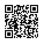 RN55C1321BRSL QRCode