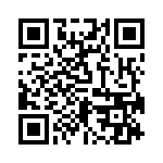 RN55C1333BRSL QRCode