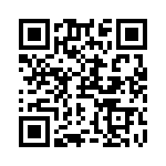 RN55C1382BRSL QRCode