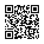 RN55C1503DRSL QRCode