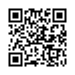 RN55C1641DRSL QRCode