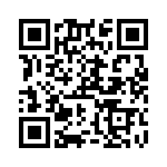 RN55C1691BRSL QRCode