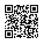 RN55C1913DRSL QRCode