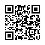 RN55C6041BRSL QRCode