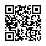 RN55E1002CRSL QRCode