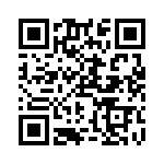 RN55E1242BRSL QRCode