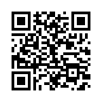 RN55E1333BRE6 QRCode