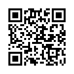 RN55E1503BRSL QRCode