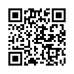 RN55E3091BRSL QRCode