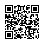 RN55E6041BRSL QRCode