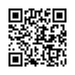 RN55E9533BBSL QRCode