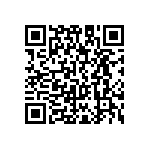 RN73C1J6K04BTDF QRCode