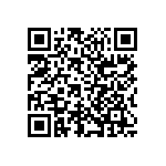 RN73C2A30R9BTDF QRCode