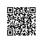 RNC55H1104BSRE6 QRCode