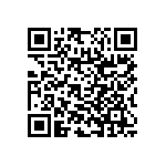 RNC55H1132BSBSL QRCode